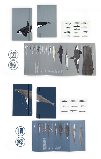 果殼商店的文創(chuàng)產(chǎn)品“鯨本”.jpg