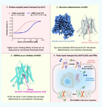 屏幕截圖 2025-07-08 154547.png