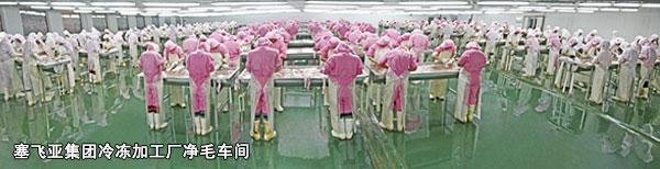 塞飛亞集團冷凍加工廠凈毛車間