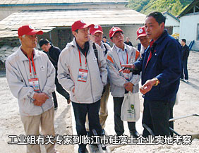 工業(yè)組有關(guān)專家到臨江市硅藻土企業(yè)實地考察指導(dǎo)