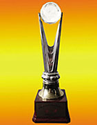 2004年5月，響蓮公司的產(chǎn)品榮獲湖南科技博覽會金獎