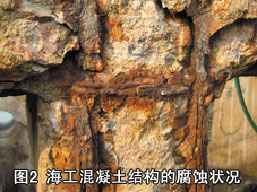 圖2 海工混凝土結(jié)構(gòu)的腐蝕狀況