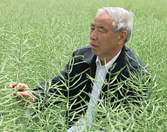 李殿榮在田間觀察油菜