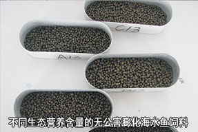 不同生態(tài)營(yíng)養(yǎng)含量的無(wú)公害膨化海水魚(yú)飼料