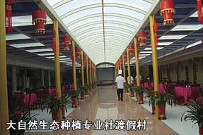 大自然生態(tài)種植專業(yè)社渡假村