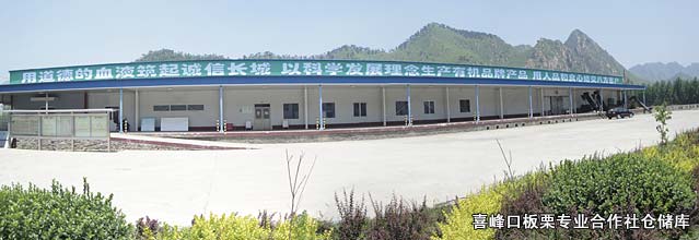 喜峰口板栗專業(yè)合作社倉儲庫