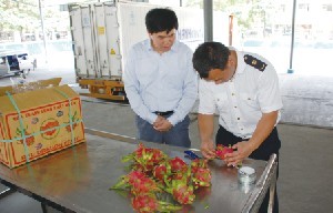 了解進(jìn)口水果檢疫情況