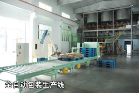 全自動包裝生產(chǎn)線