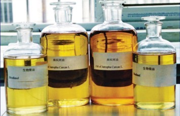 用小桐樹果籽提煉出的生物柴油