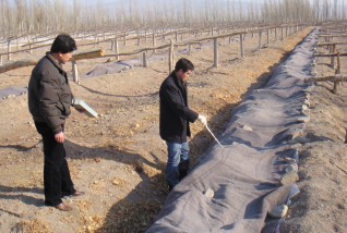 確定調(diào)查位置