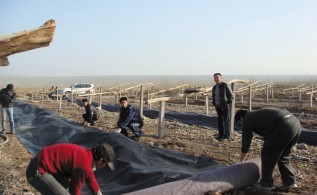 研究人員進(jìn)行覆蓋作業(yè)