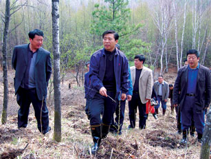 許兆君代表在林區(qū)考察