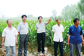 村委領(lǐng)導(dǎo)班子一起規(guī)劃