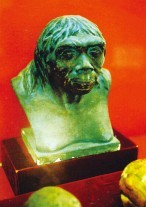 北京猿人復(fù)原像