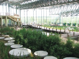 凈水溫室內(nèi)景